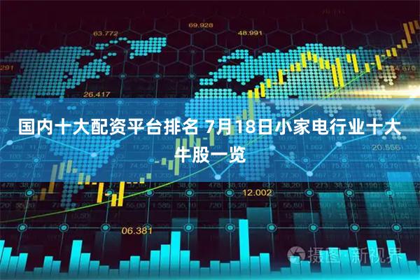 国内十大配资平台排名 7月18日小家电行业十大牛股一览